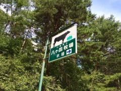 八ケ岳牧場