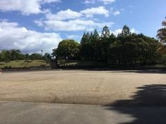 中央公園