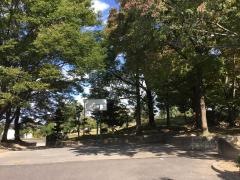 中央公園