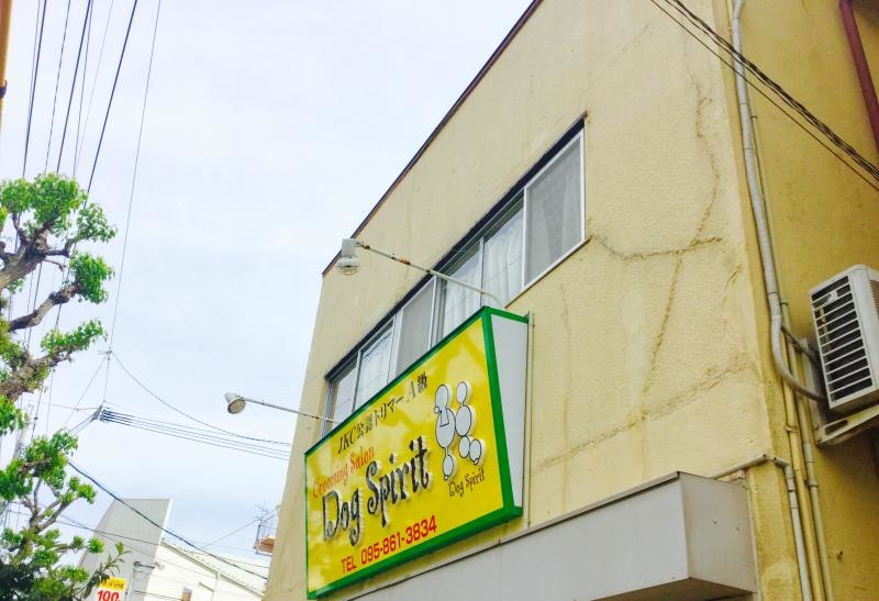 ＤＯＧ・ＳＰＩＲＩＴ