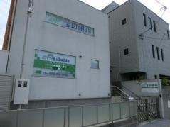 生田眼科