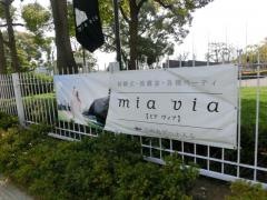 ＭＩＡ・ＶＩＡ