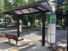 「木町通小学校前」バス停留所