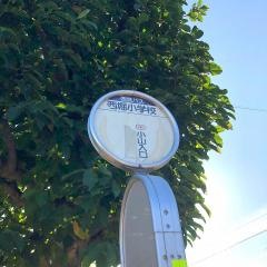 「西堀小学校」バス停留所