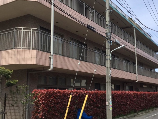 葛飾敬寿園