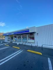 ローソン 佐野赤見店
