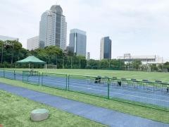 渋谷教育学園幕張高等学校