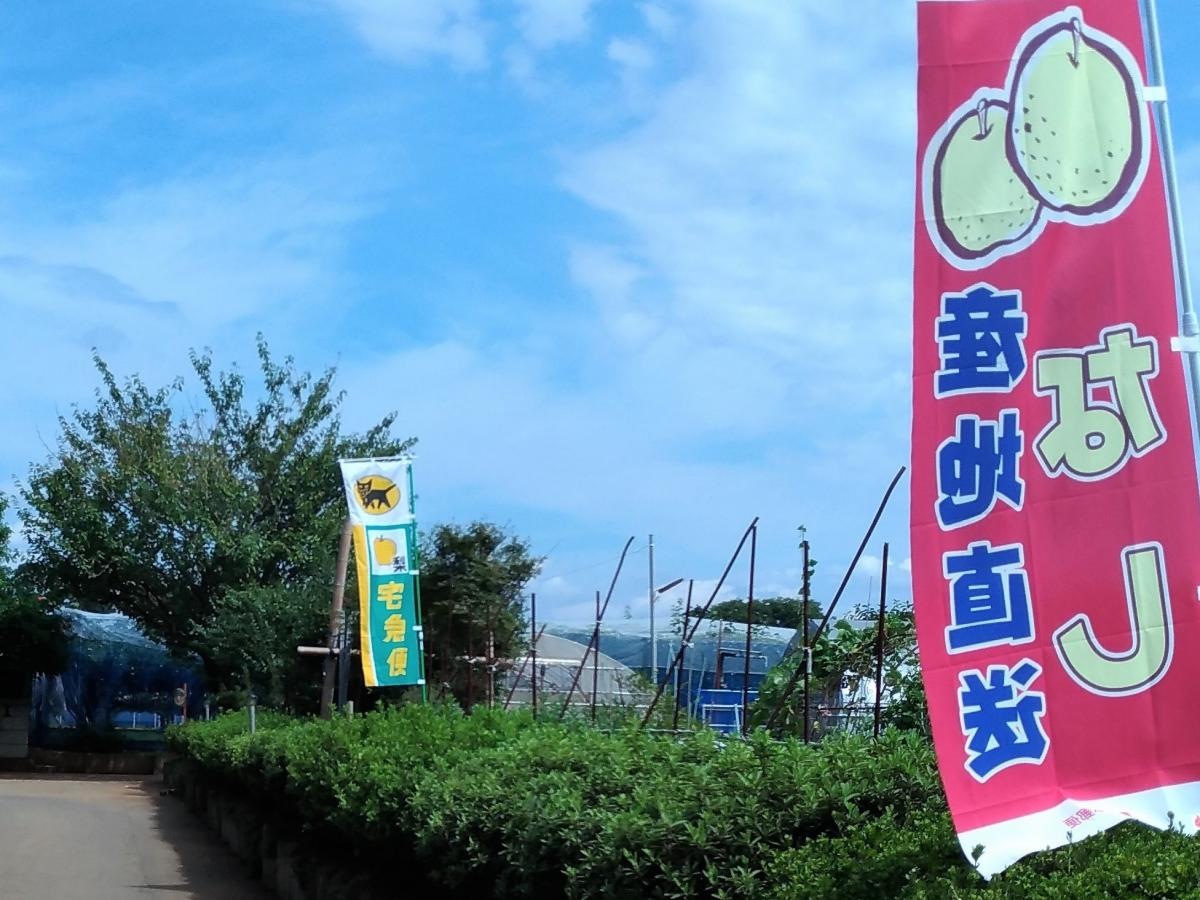 千葉県八街市　新井梨園