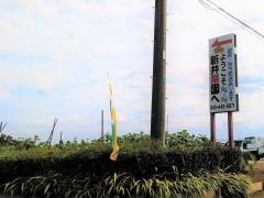 新井梨園