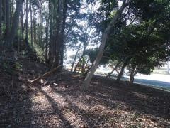 大崎台一号緑地