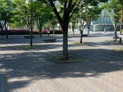 向河原駅前広場公園