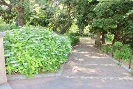 元町公園