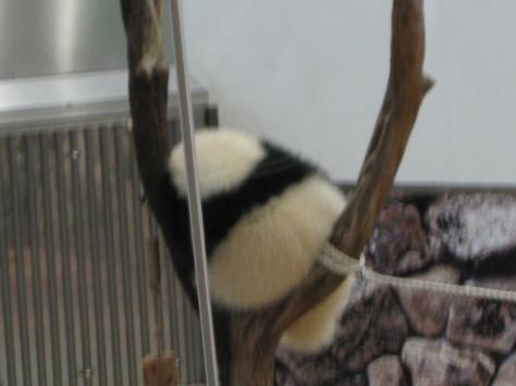 施設写真1175