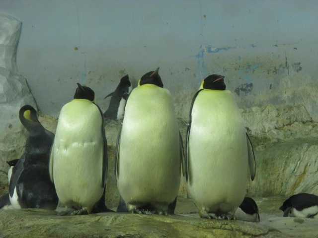 施設写真1135