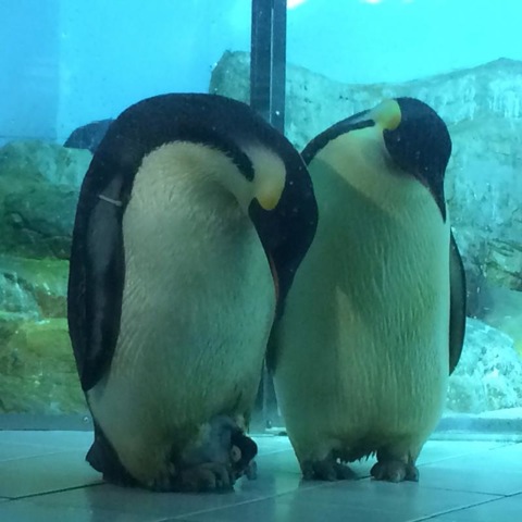 施設写真928