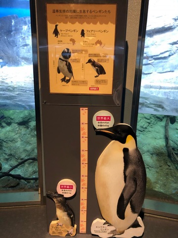施設写真154
