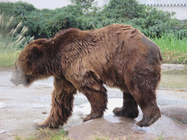 施設写真1085