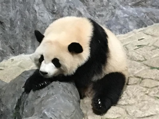 施設写真830
