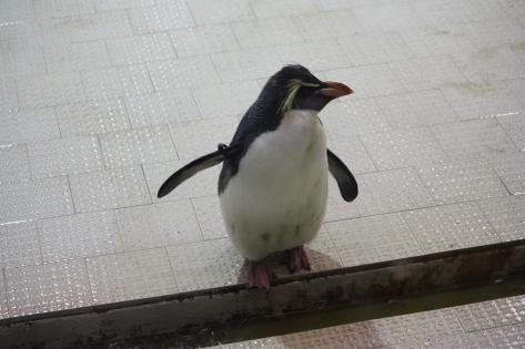 施設写真1166