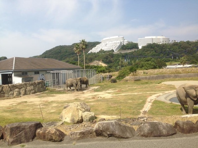施設写真911