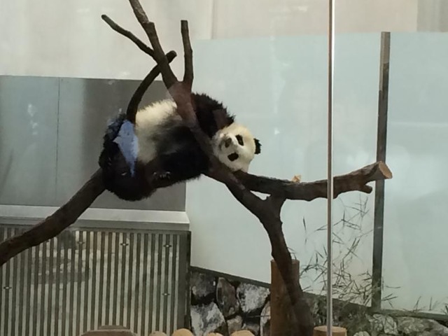 施設写真952