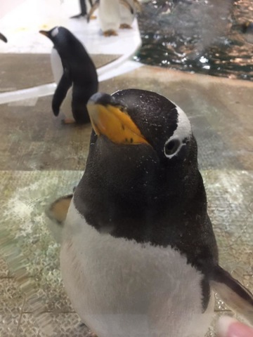 施設写真722