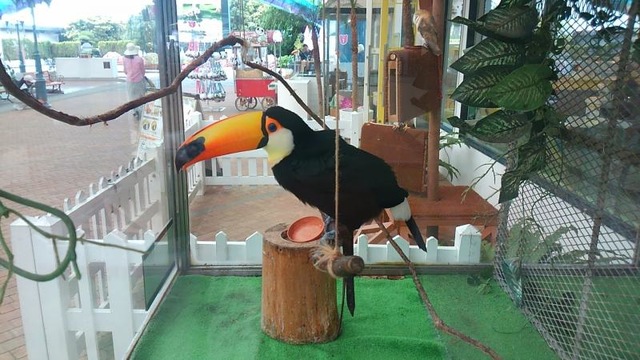 施設写真892