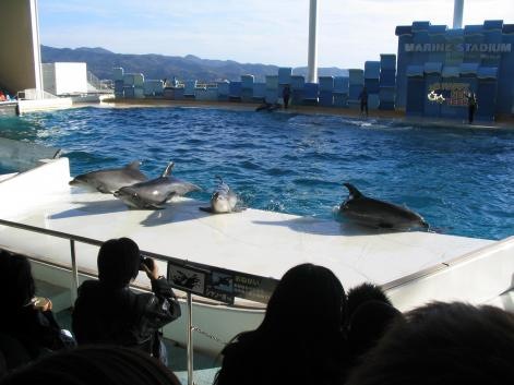 施設写真1148