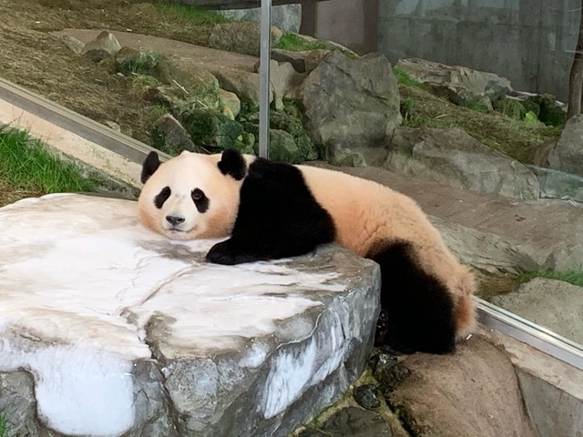 施設写真501
