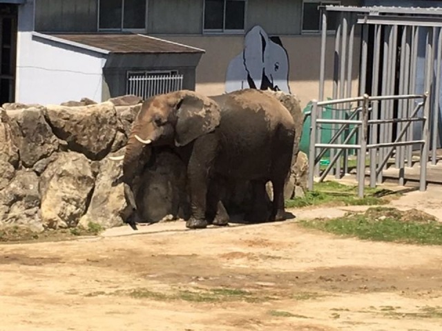 施設写真850