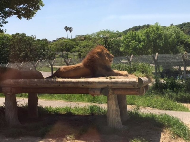 施設写真848