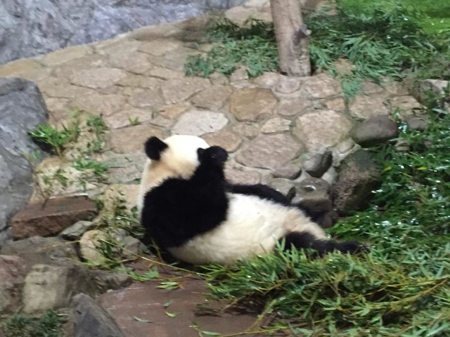 施設写真854