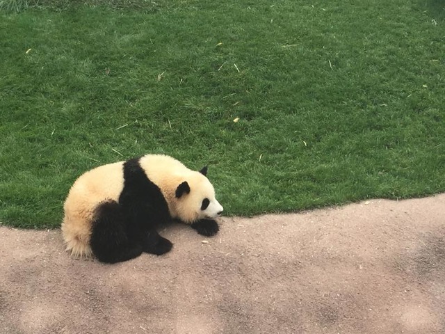 施設写真853