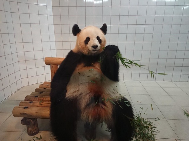 施設写真655