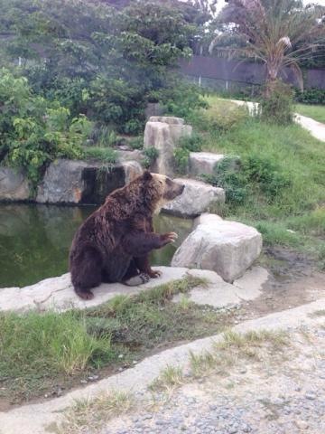 施設写真1160