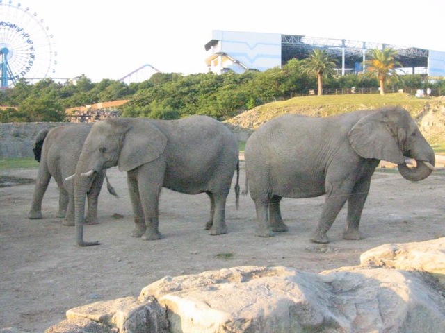 施設写真869