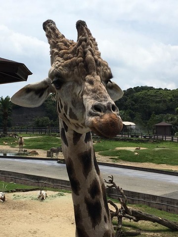 施設写真845