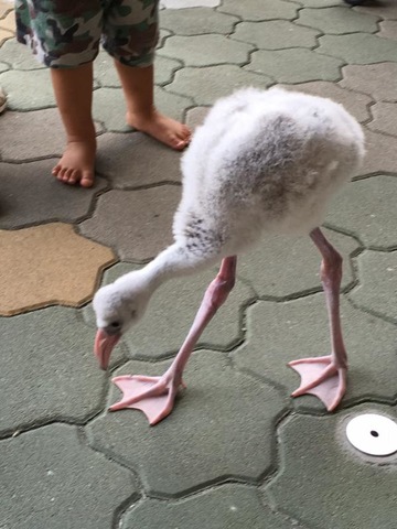 施設写真841