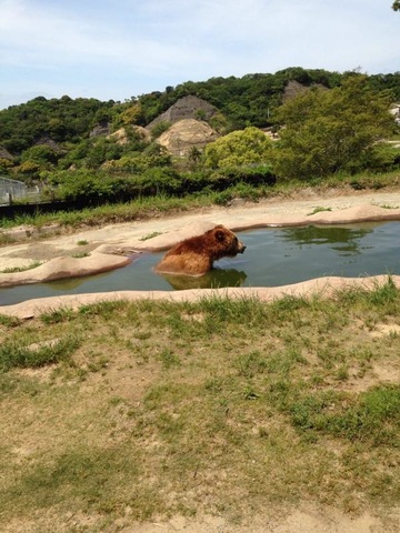 施設写真1095