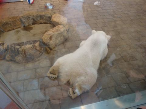 施設写真1192