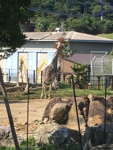施設写真768