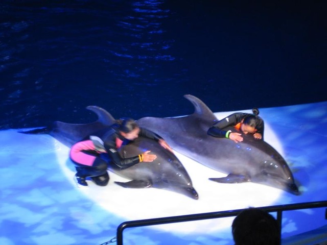 施設写真1089
