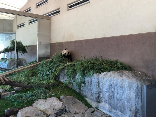 施設写真387