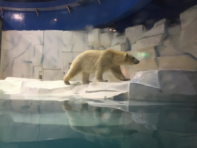 施設写真1007