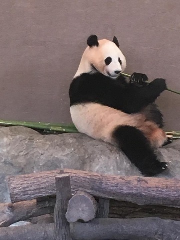 施設写真647