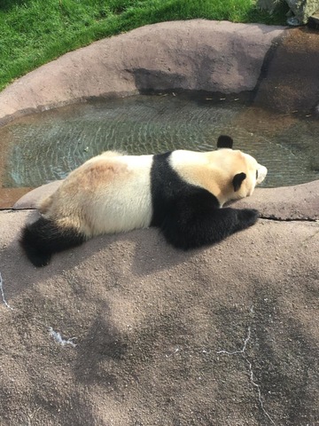 施設写真646