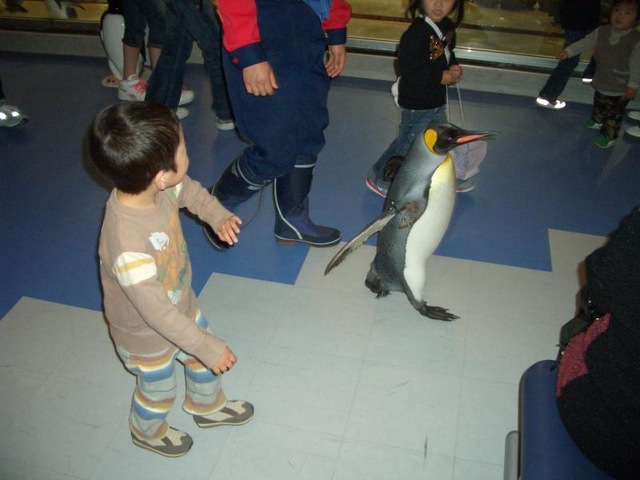 施設写真1110