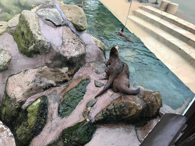 施設写真623