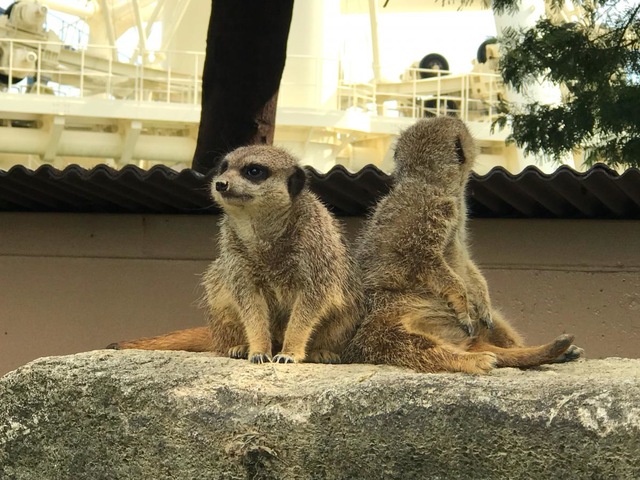 施設写真621