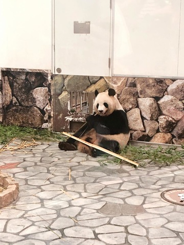 施設写真439